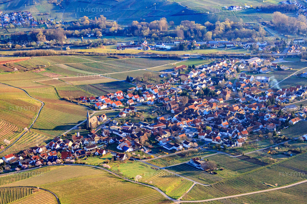Luftbild: Winzerdorf im Morgenlicht aus Süden in Birkweiler im Bundesland Rheinland-Pfalz in Deutschland. Foto: IMG_63145.jpg vom 20.03.2014 durch Werner Riehm/FLY-FOTO.de