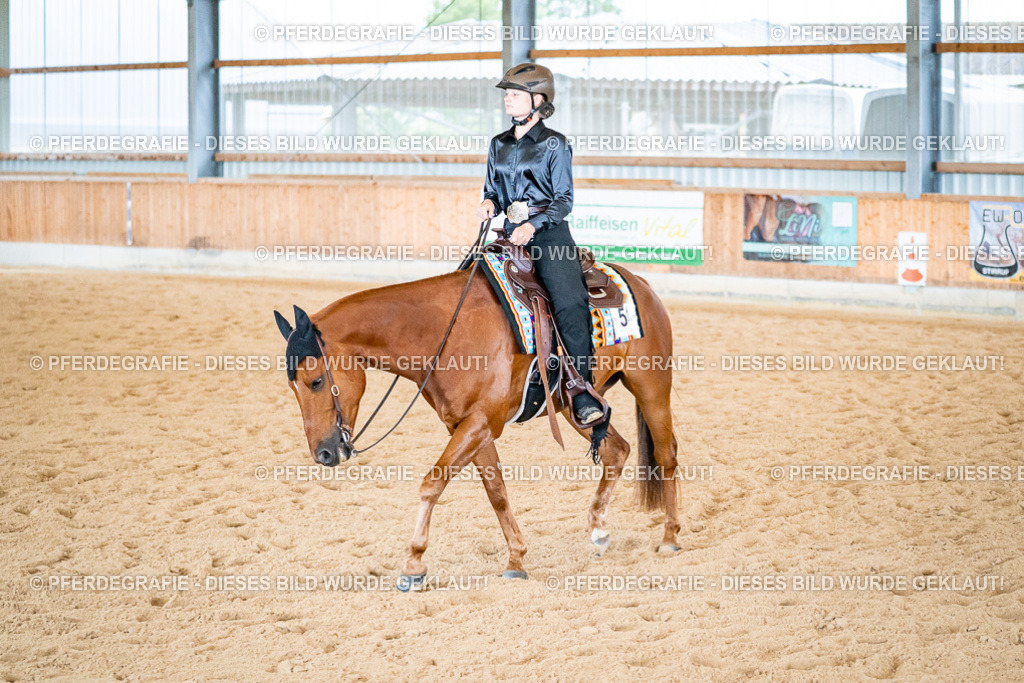 DSC02596 | Pferdegrafie