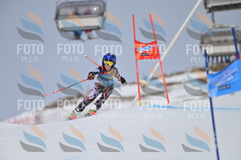 BGV_3884 | holidayphoto