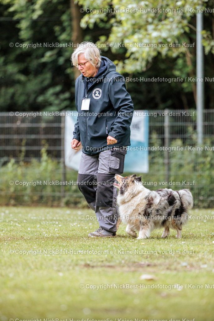 RO-Blumenthal-2026-Nickbest-Hundefotografie-2916 | Dein Hund! Dein Moment! Deine Erinnerungen! Hundefotografie in Bremen Blumenthal. Ich fange die besonderen Momente deines Vierbeiners ein – ob Indoor mit Blitzanlage oder in der freien Natur. Sicher dir dein Moment und dein Termin für eure Erinnerungen.
