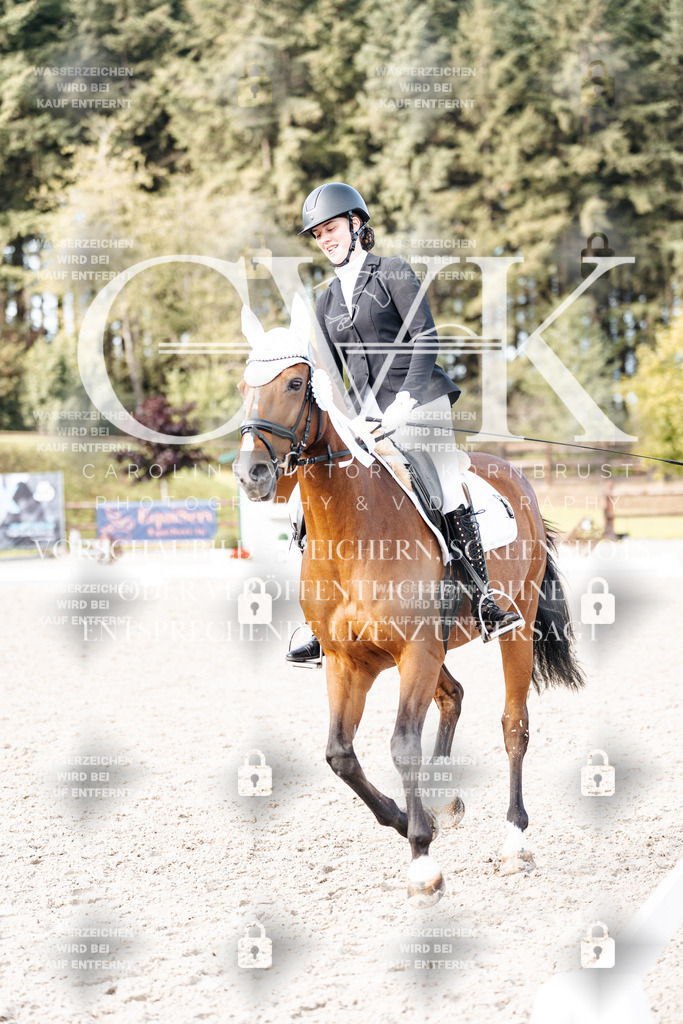 CK901435 | Turnierfotografie Pferdefotografie Trier Rheinland-Pfalz Pferdesport Reitsport Tierfotografie Sportfotografie Pferdevideo Pferdevideografie Equestrianvideography equestrianphotography  - Realisiert mit Pictrs.com