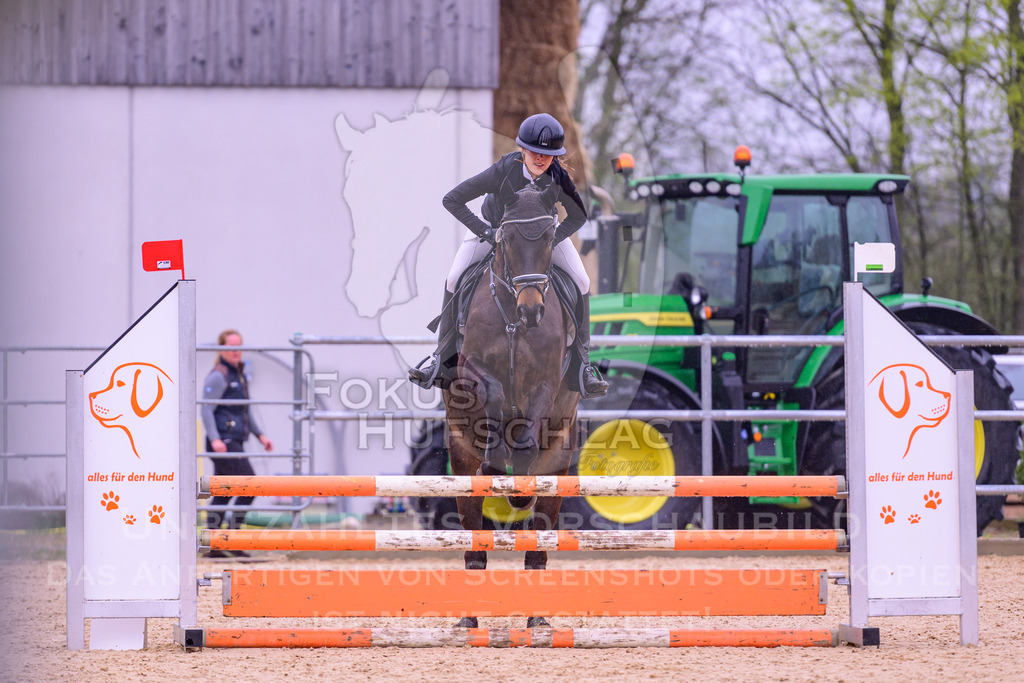 12042026-Mammendorf-Prfg38-0172 | Fokus Hufschlag Fotografie - Realisiert mit Pictrs.com