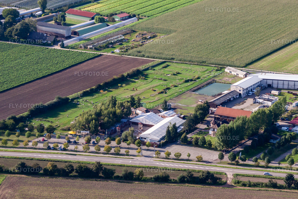 Luftbild: Adamshof Fußgolfanlage in Kandel im Bundesland Rheinland-Pfalz in Deutschland. Foto: IMG_71020.jpg vom 27.08.2014 durch Werner Riehm/FLY-FOTO.de