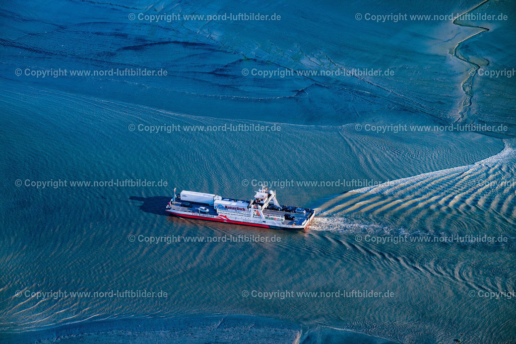 Wischafen_Frs_Elbfähren_Ernst_Sturm_Fähre_ELS_8866300523 | WISCHHAFEN 30.05.2023 Fahrt eines Fähr- Schiffes der " Elbfähre Glückstadt Wischhafen " " Wilhelm Krooss" in Wischhafen im Bundesland Niedersachsen, Deutschland. Weiterführende Informationen bei: FRS Elbfähre Glückstadt Wischhafen GmbH. // Ride a ferry ship " Elbfaehre Wischhafen " in Drochtersen in the state Lower Saxony, Germany. Further information at: FRS Elbfaehre Glueckstadt Wischhafen GmbH. Foto: Martin Elsen