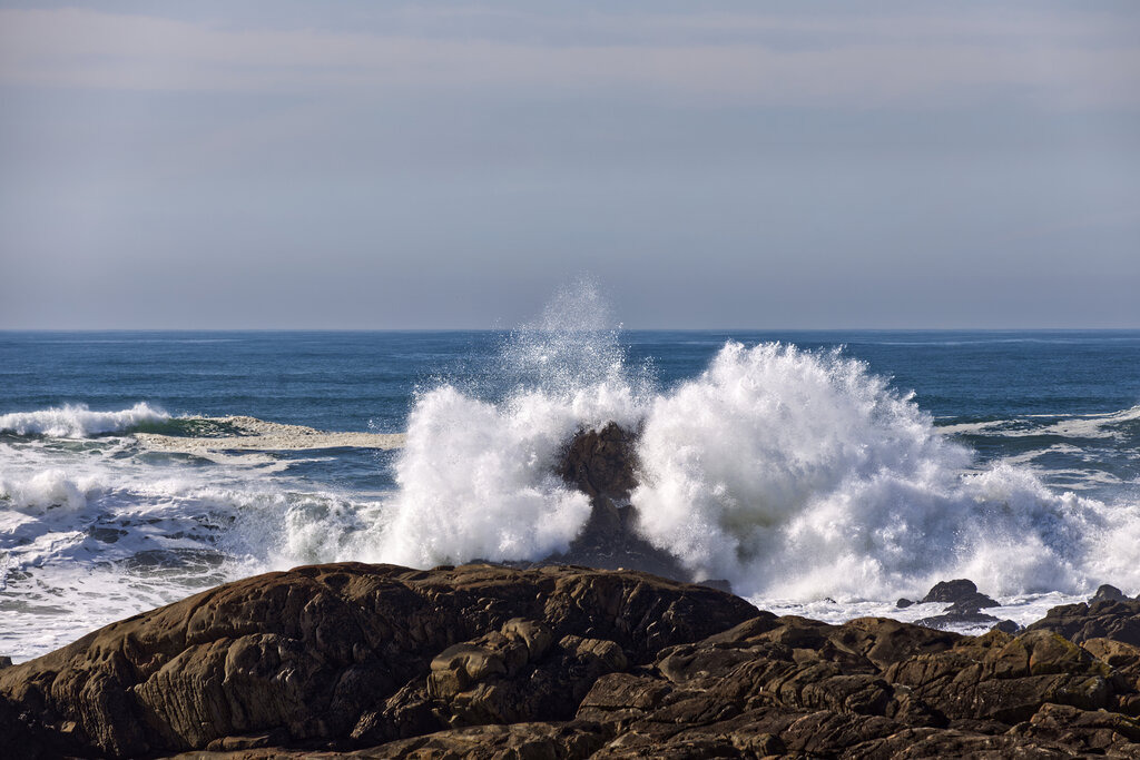 1H5A8829a | ansichtssache