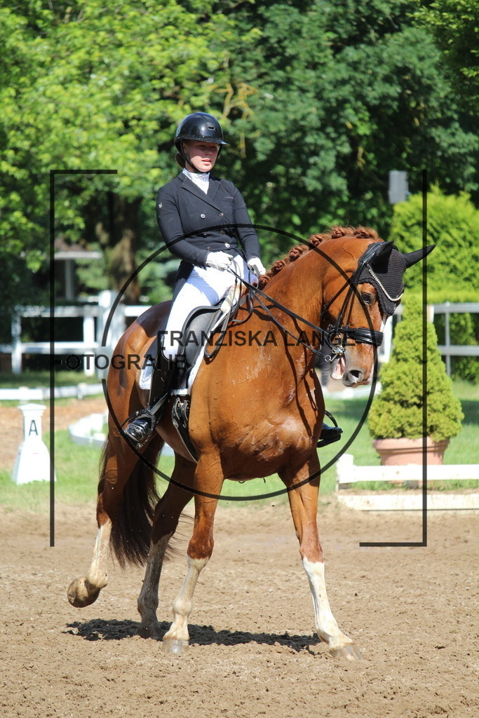 IMG_6941 | franziskalange - Realisiert mit Pictrs.com