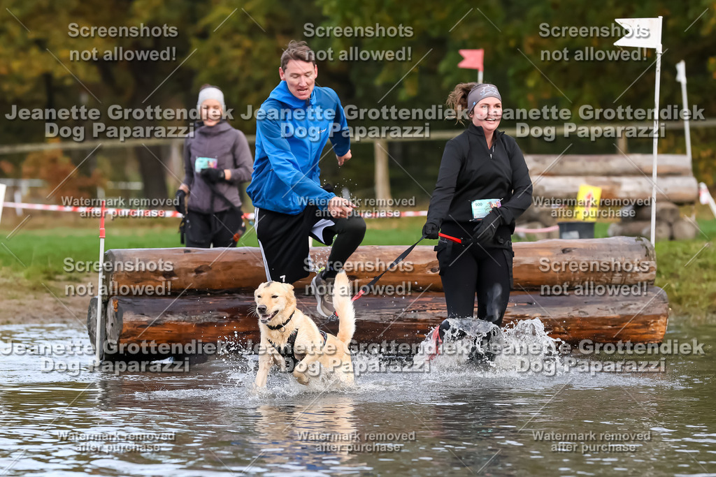 Dog Paparazzi - Strongdog 10-25-6777 | Dog Paparazzi Jeanette Grottendiek Fotografie & Videografie - Realisiert mit Pictrs.com