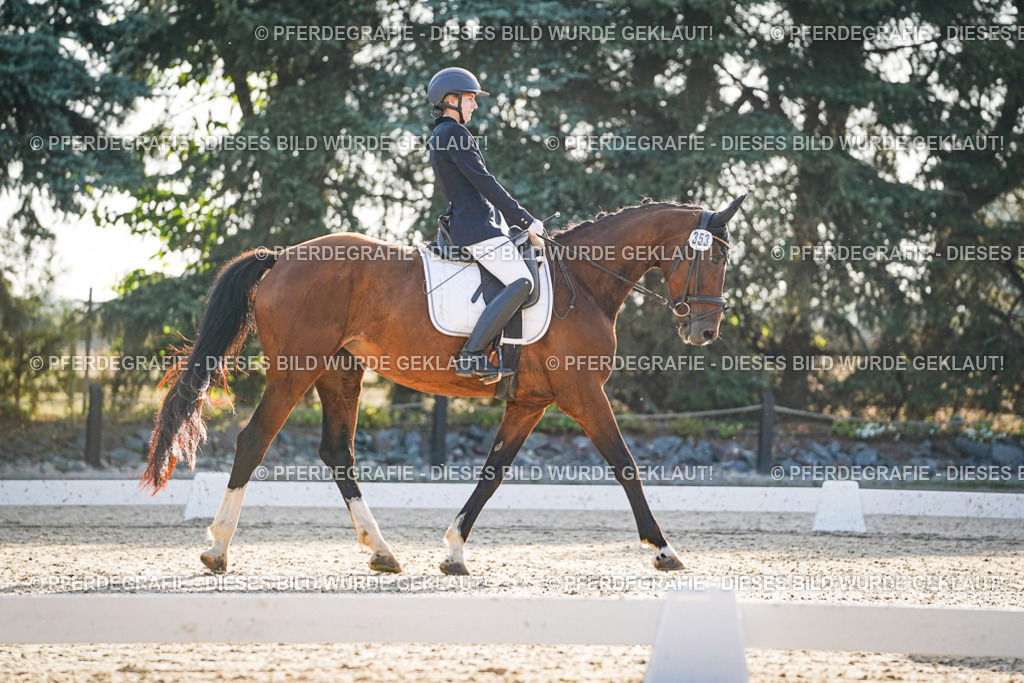 DSC07827 | Pferdegrafie