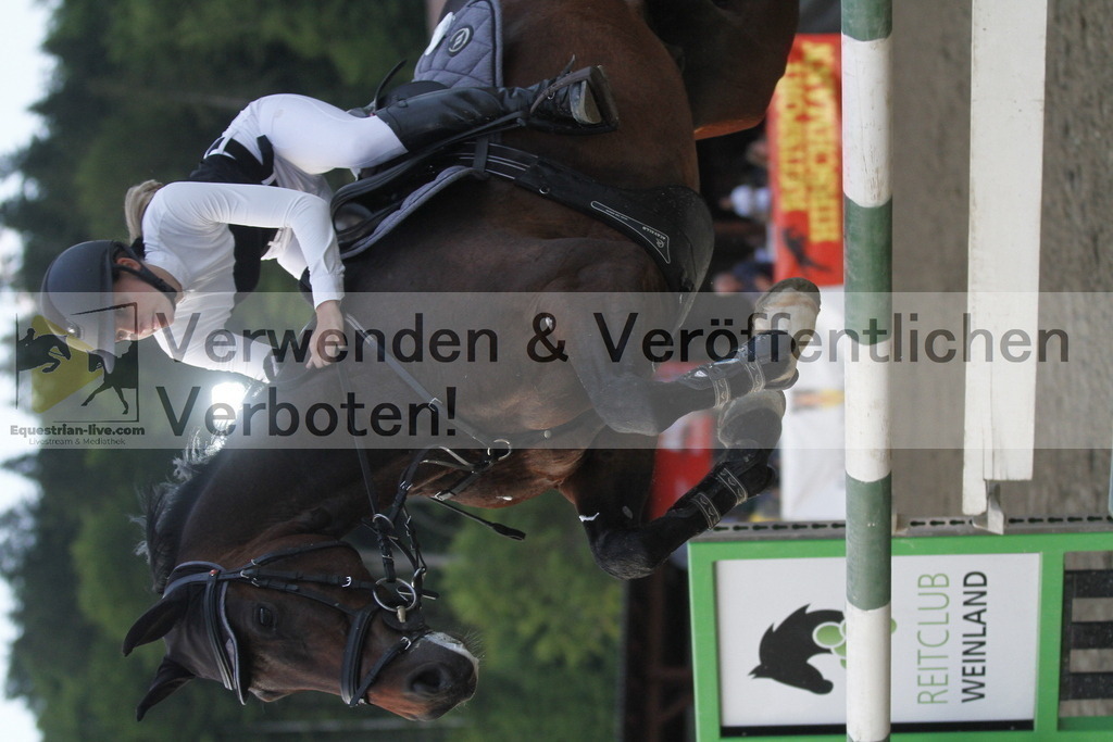 _MG_1762 | equestrian-live-com