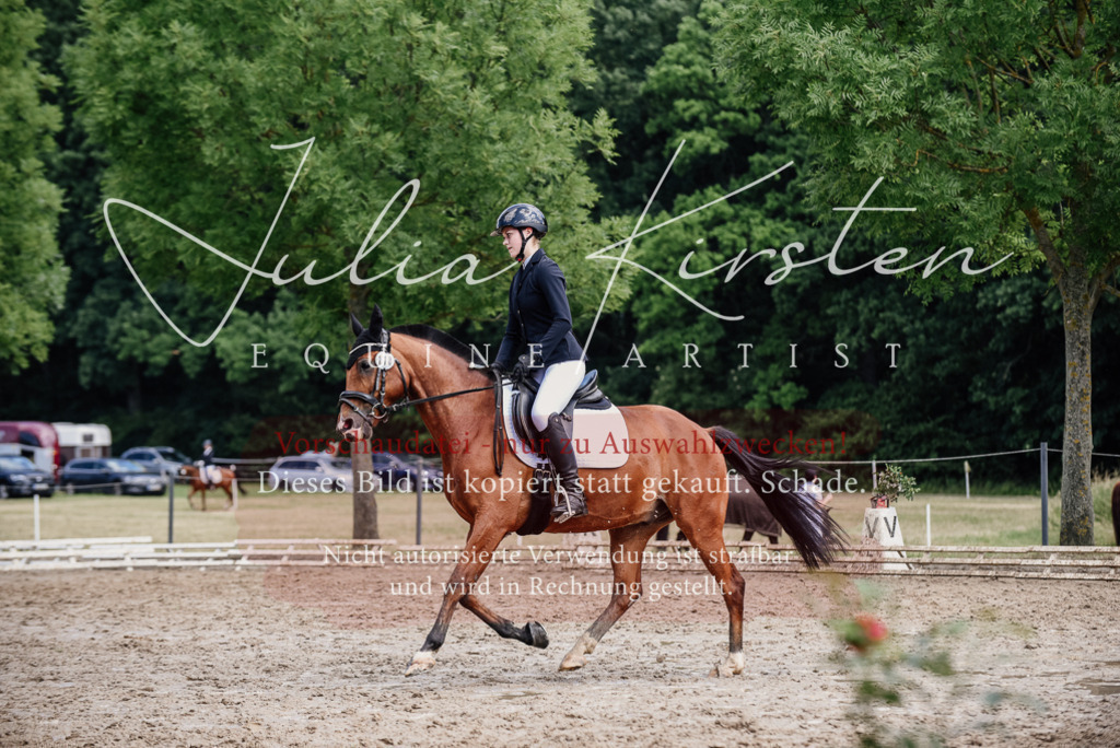 DSC_1772 | Pferde- und Turnierfotografie in Westsachsen. Pferdeportraits, Auftragszeichnungen und intuitive Kunst.