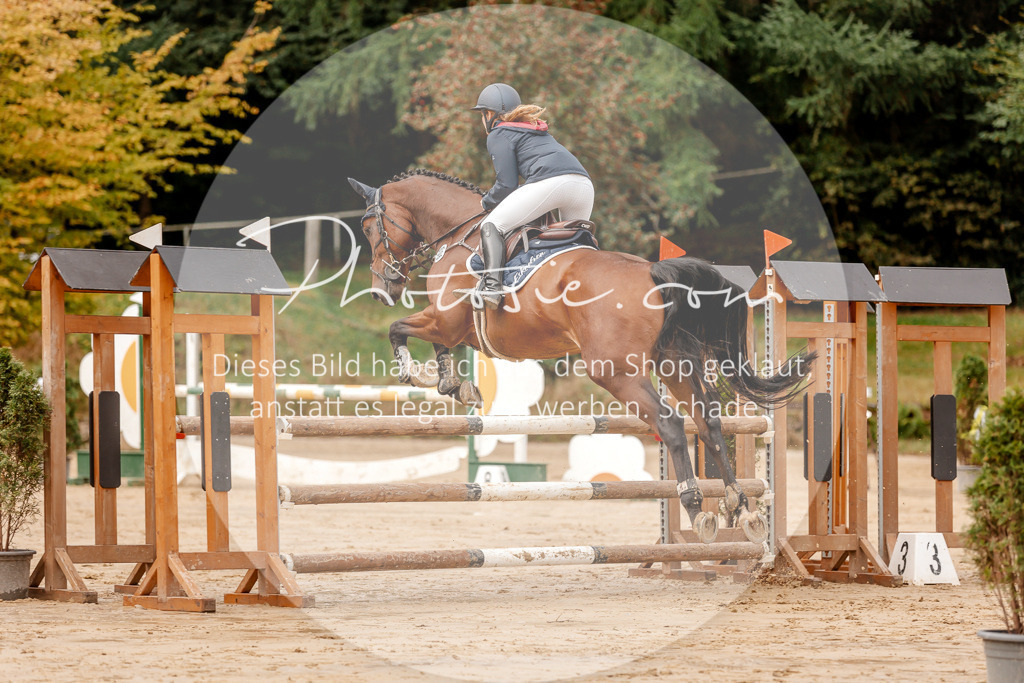 3I6A6515 | Stimmungsvolle Portraits und Reitsportfotografie im Ruhrgebiet und im Münsterland.

Pferdefotografie, Hundefotografie, Tierfotografie, Reportagen, Portraits von Tier und Mensch, Turnierfotografie in Bochum, Recklinghausen, Marl, Haltern am See, Dülmen.. - Realisiert mit Pictrs.com