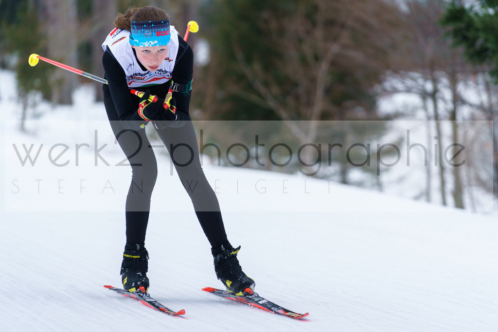 DSC Arber | Bayerischer Wald am 9. bis 12. Februar 2023
