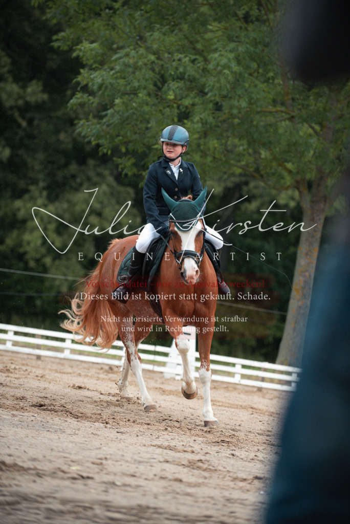 DSC_9640 | Pferde- und Turnierfotografie in Westsachsen. Pferdeportraits, Auftragszeichnungen und intuitive Kunst.
