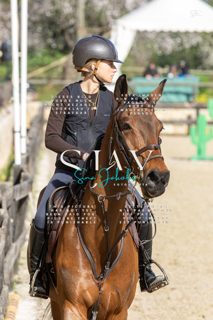 IMG_4317 | s-jay-photography - Realisiert mit Pictrs.com