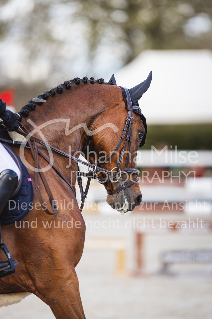 240424_Lemwerder_Stil-L-179 | Deine schönsten Turniermomente als professionelle Fotos! Entdecke hochwertige Pferdesport-Fotografie im Online-Shop. Jetzt Fotos finden & bestellen!