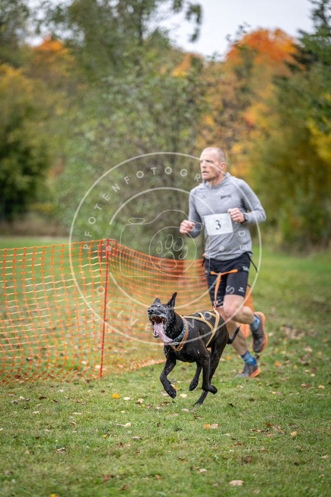 Pfotenfotografie_DV3A1619 | Hundefotografie, Tierfotograf, Pfotenfotografie, Fotoshooting Hund, Hunde Portrait, Hundesport, Hundeportraits, Heideshooting, Hunde, Sportfotograf, Hundefotograf, Turnierhundsport, THS,  - Realisiert mit Pictrs.com
