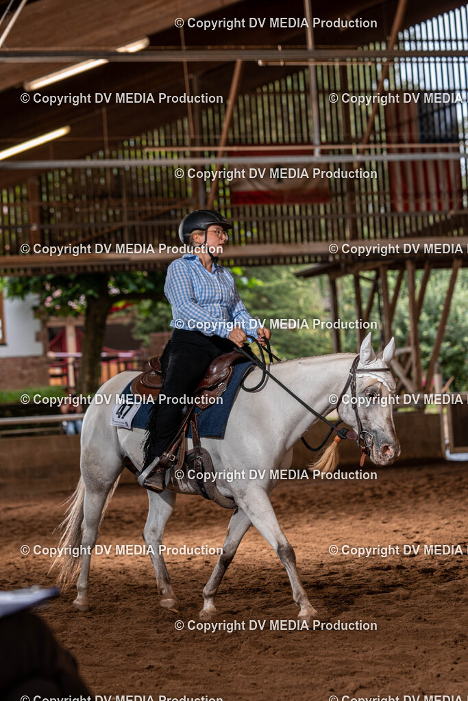 Erbach Tag 2-336 | dv-media-shop - Realisiert mit Pictrs.com