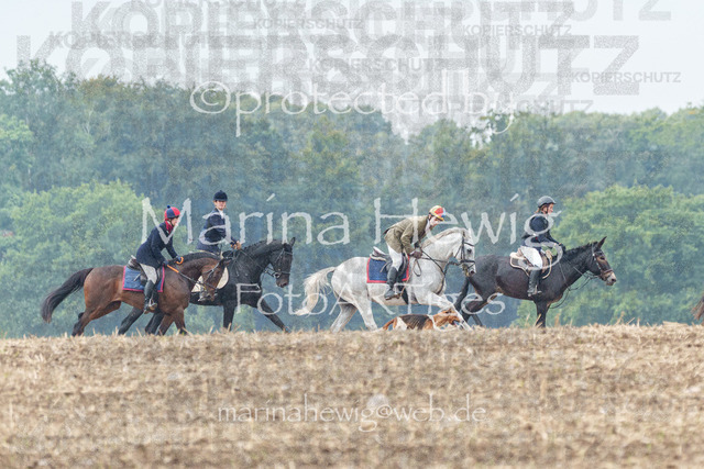 Jagd Perdoel_MarinaHewigMCH04272 | Fotografie, FotoArt, PferdesportArt, Pferdesportfotografie, Landschaftsfotografie, Reisefotografie, Reise, Pferde - Realisiert mit Pictrs.com