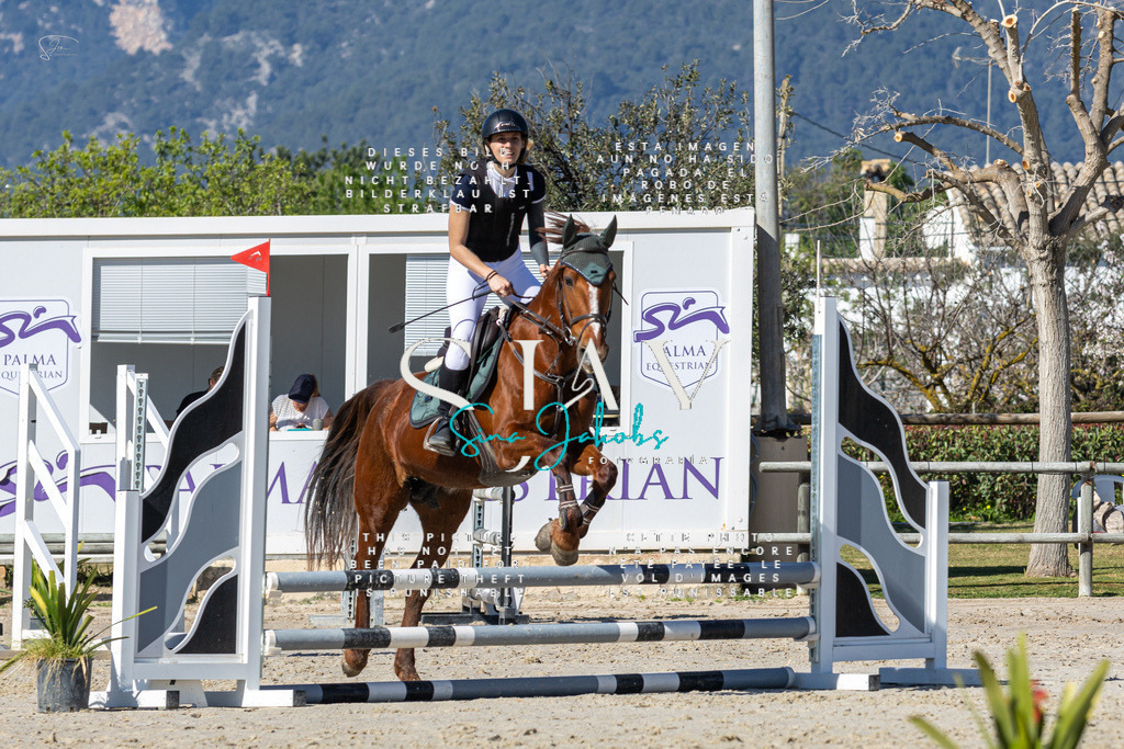 IMG_8826 | s-jay-photography - Realisiert mit Pictrs.com