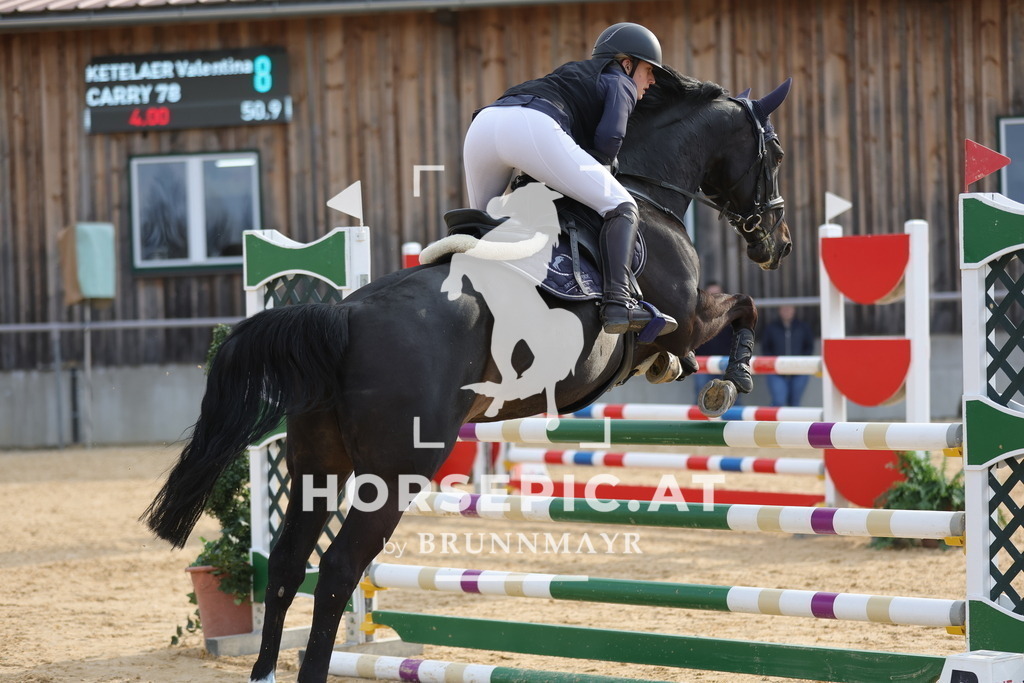 0P6A8691 | Willkommen bei Brunnmayr - Design & Fotografie – Ihrem Spezialisten für Reitturniere und Pferdeveranstaltungen in Oberösterreich, Salzburg und Bayern! Seit über 17 Jahren sind wir leidenschaftlich dabei.