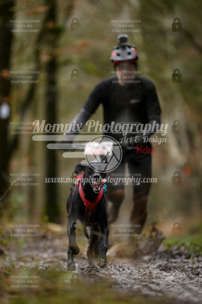 MompixPhotography_CDSM24_SA_DS1-52 | PayLife