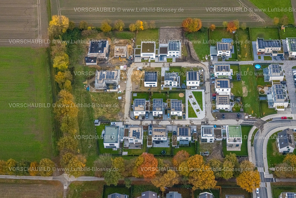 Gelsenkirchen231103330 | Luftbild, Wohnsiedlung Einfamilienhäuser Wohnen am Buerschen Waldbogen, umgeben von herbstlichen Laubbäumen, Resse, Gelsenkirchen, Ruhrgebiet, Nordrhein-Westfalen, Deutschland