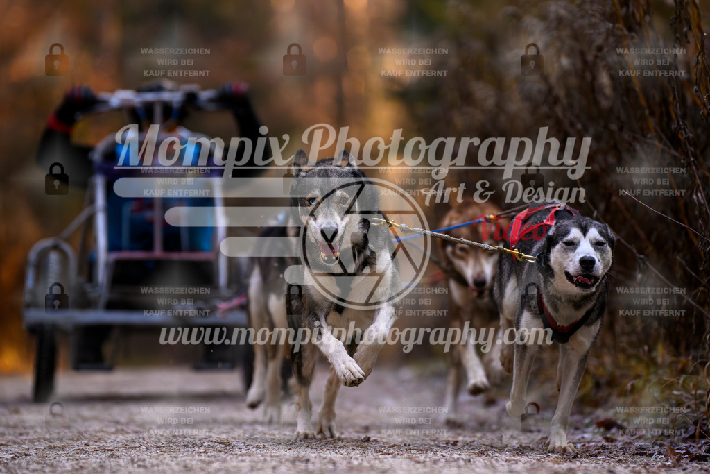MompixPhotography_DM_AKDM_SO_2025_Wagen-64 | PayLife