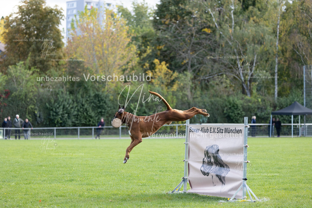 _16A6770 | Einzigartige Fotos von Hunden & Menschen –Actionfotos, Portraits, Vereinsaufnahmen & Paarshootings – authentisch, lebendig & mit Herz.