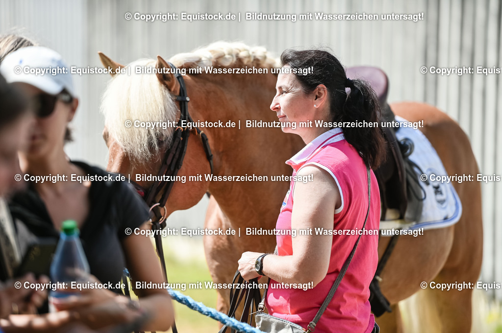 20230716_01_Dressurprüfung Kl.M_0235 | equistock