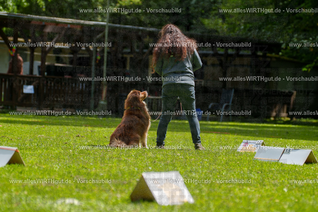 @allesWIRTHgut_Tierfotografie - www.allesWIRTHgut.de - 7R500838 | Professionelle Tierfotografie in Mönchengladbach von Daniel Wirth (allesWIRTHgut). Liebevolle & natürliche Bilder von Hunden & Katzen für unvergessliche Erinnerungen.