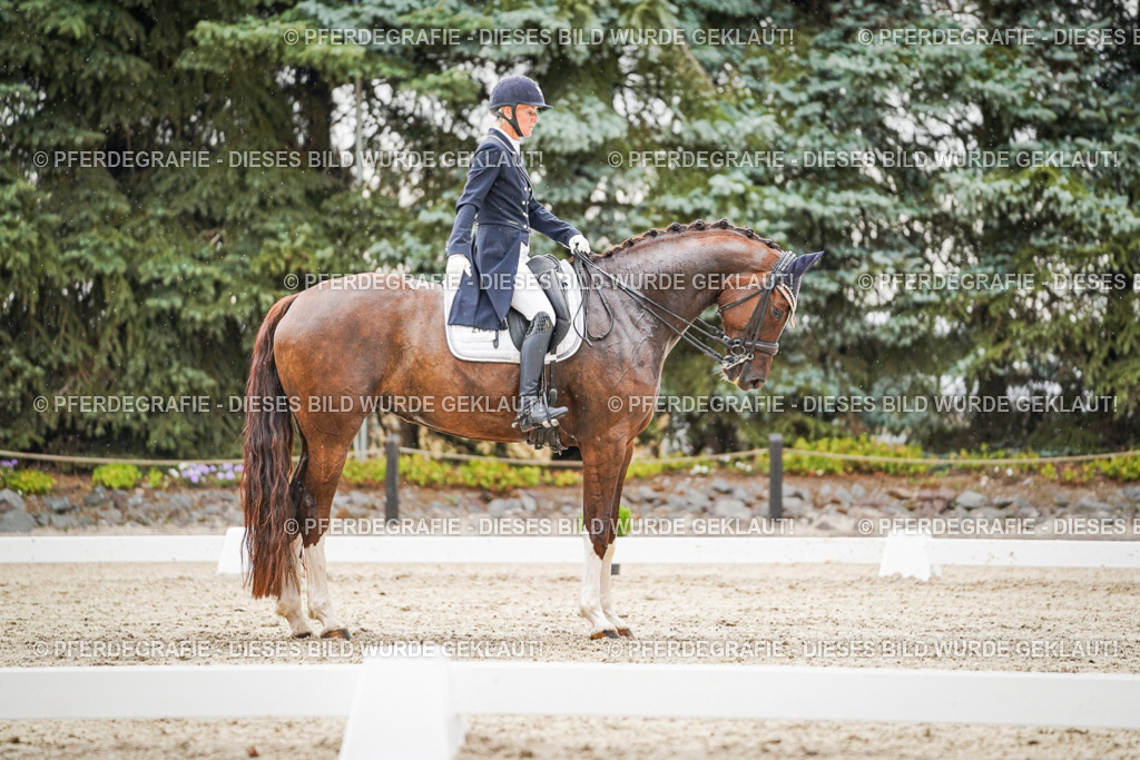 DSC07898 | Pferdegrafie