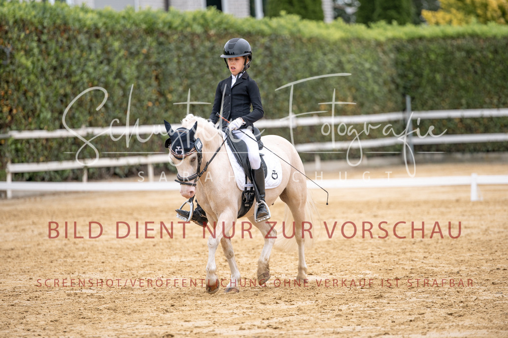 Schugtsche-Aluta25-40.DressurprfA_-443 | Schugtsche Fotografie - Realisiert mit Pictrs.com