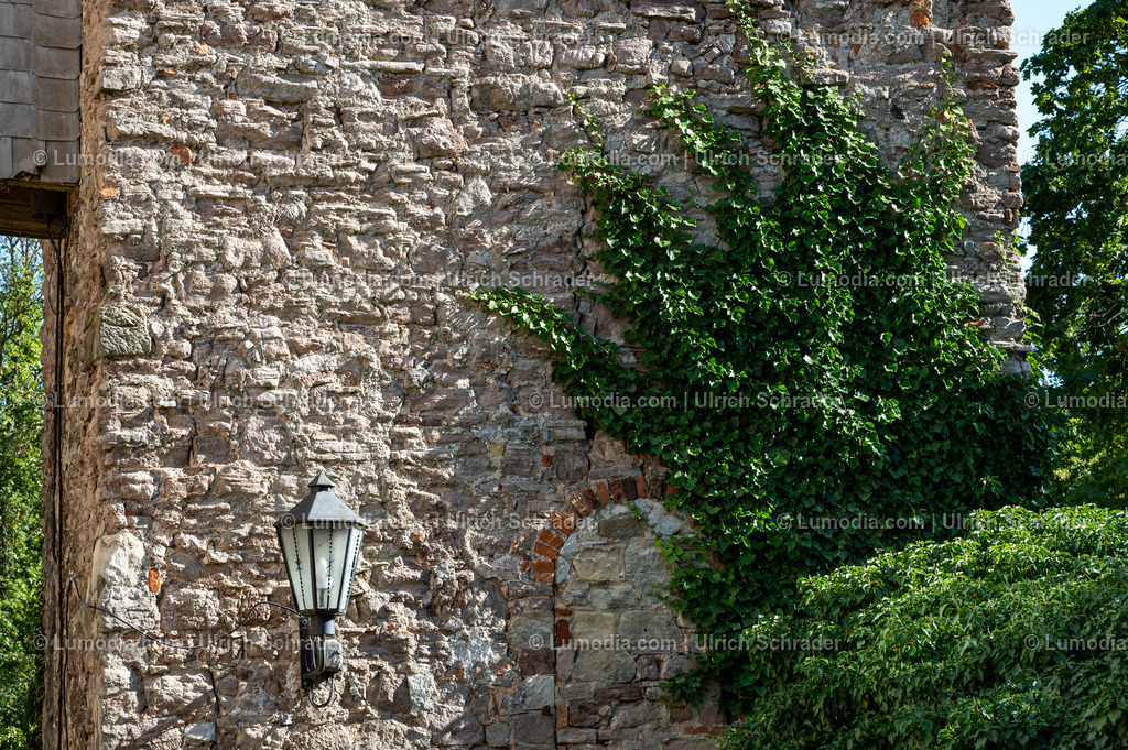 10049-14162 - Großes Schloß Blankenburg | Stockfoto und Bilderpool mit Bildmaterial aus Deutschland, dem Harz, Halberstadt, Quedlinburg, Wernigerode und weltweit. Qualitativ hochwertige und professionelle Fotos anschauen und kaufen. - Realisiert mit Pictrs.com