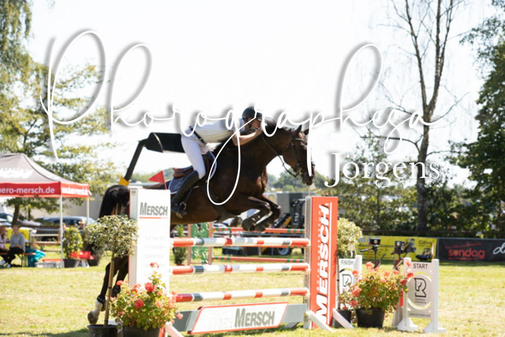 IMG_9087 | photographesa-joergens - Realisiert mit Pictrs.com