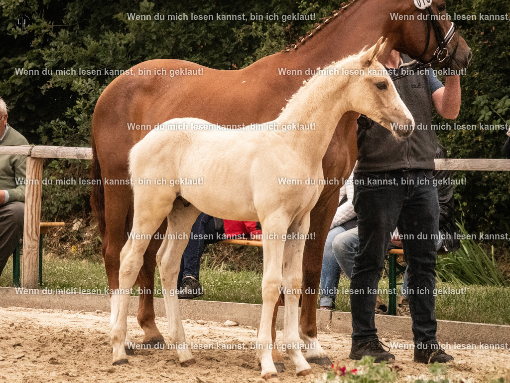 A10I1118 | photographylinaismer - Realisiert mit Pictrs.com