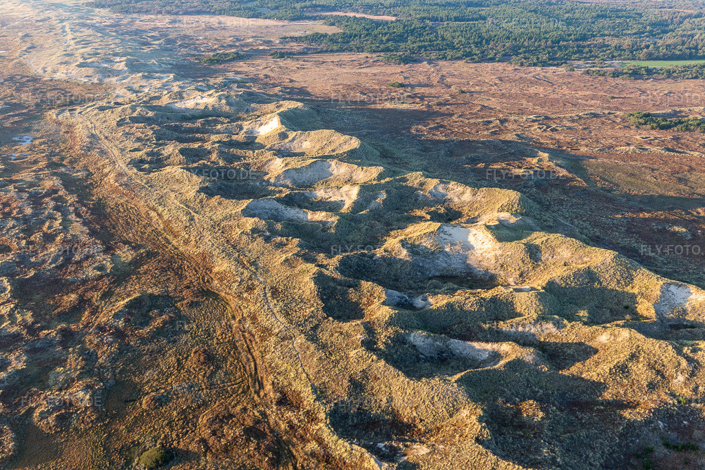 Luftbild: Nationalpark Wattenmeer in Fanø im Bundesland Syddanmark in Dänemark. Foto: IMG_118968.jpg vom 21.09.2019 durch Werner Riehm/FLY-FOTO.de