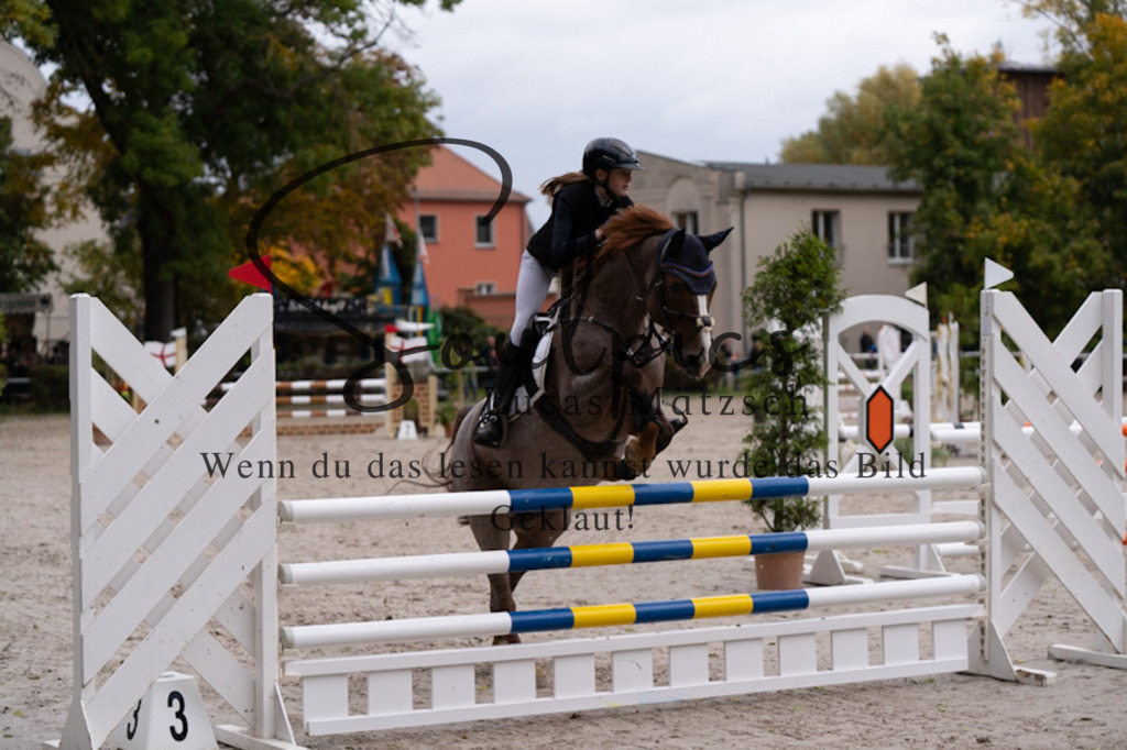 A7V00473 | Pferdefotograf