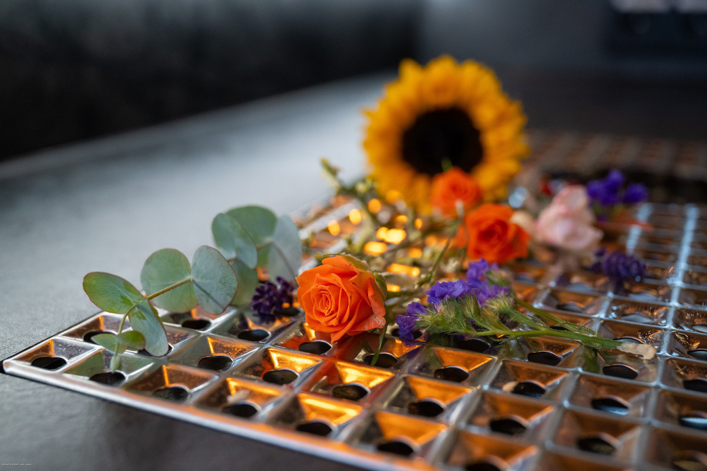 WWB_7829 | <Fotografie> <Video> <Film> <Winfried Bischoff> - Realisiert mit Pictrs.com