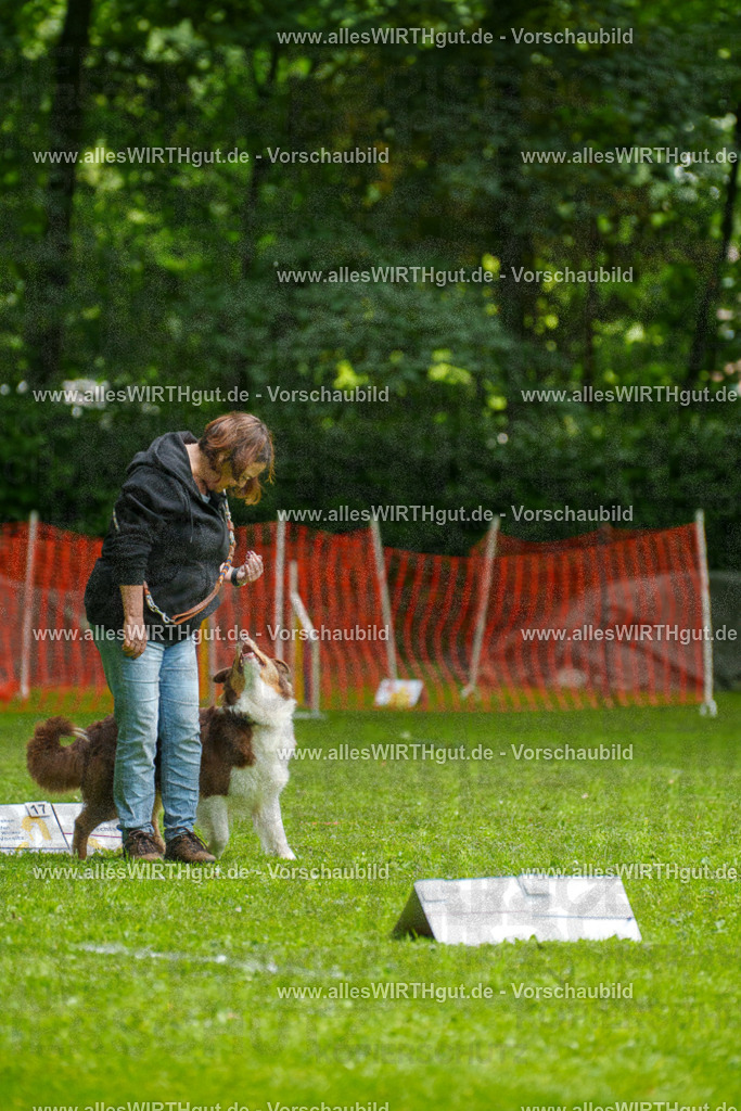 @allesWIRTHgut_Tierfotografie - www.allesWIRTHgut.de - 7R502604 | Professionelle Tierfotografie in Mönchengladbach von Daniel Wirth (allesWIRTHgut). Liebevolle & natürliche Bilder von Hunden & Katzen für unvergessliche Erinnerungen.