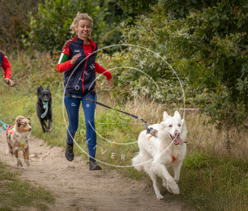 Pfotenfotografie_DV3A7997 | Hundefotografie, Tierfotograf, Pfotenfotografie, Fotoshooting Hund, Hunde Portrait, Hundesport, Hundeportraits, Heideshooting, Hunde, Sportfotograf, Hundefotograf, Turnierhundsport, THS,  - Realisiert mit Pictrs.com