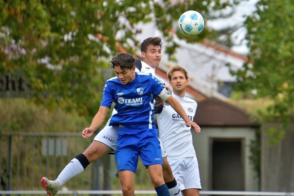 DSC_6018_1333SVR 23.08.23_Nikontop rad | PFALZFOTO - Serena Wobus - Realisiert mit Pictrs.com