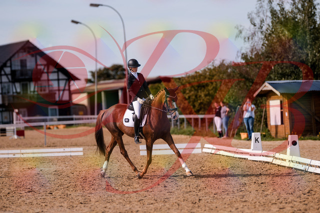 2026_10_03_Siefer-Hof_133154_Z81_87300871 | Professionelle Reitsport-, Turnier- und Eventfotografie von Robert Broda. Galerien mit ausgewählten und bearbeiteten Bildern direkt online ansehen und bestellen.