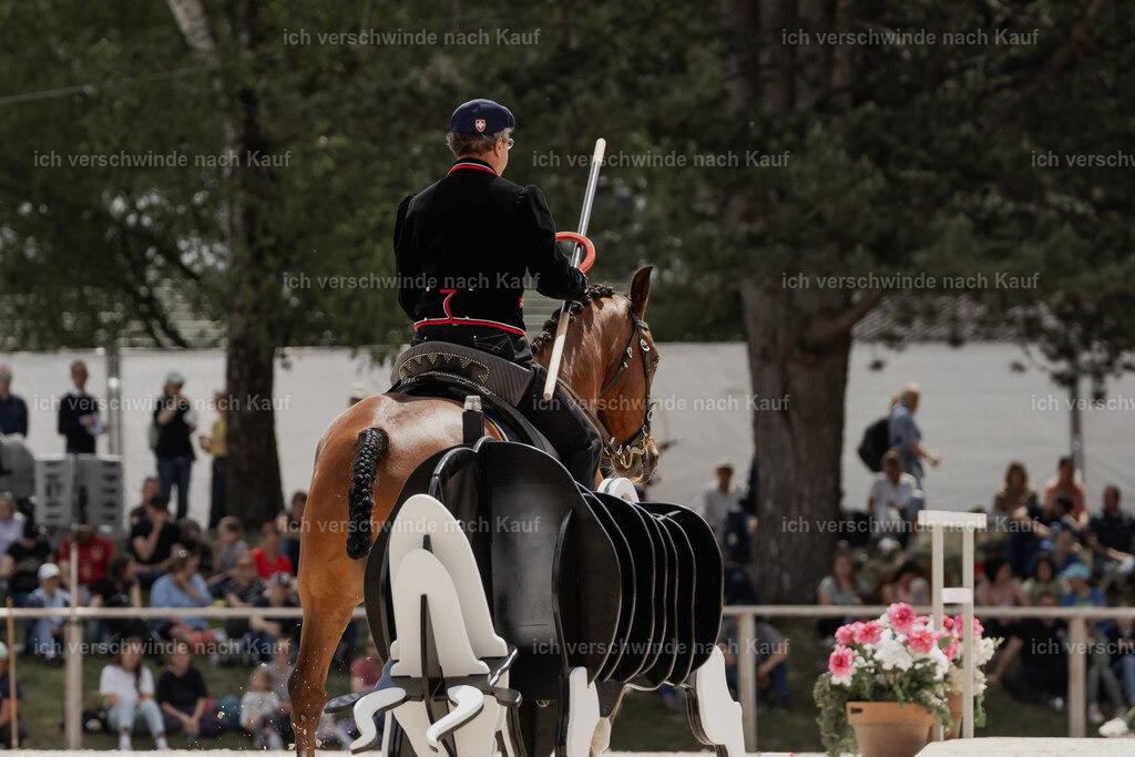 WE_ST_Stoib_339_PI2025_997 | Pferd International München 2025