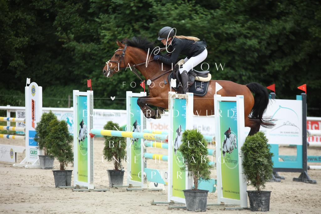 IMGM9691 | pl-fotografie