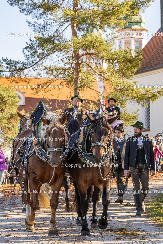 LBT25-1192 | foto-bettina-krinner - Realisiert mit Pictrs.com