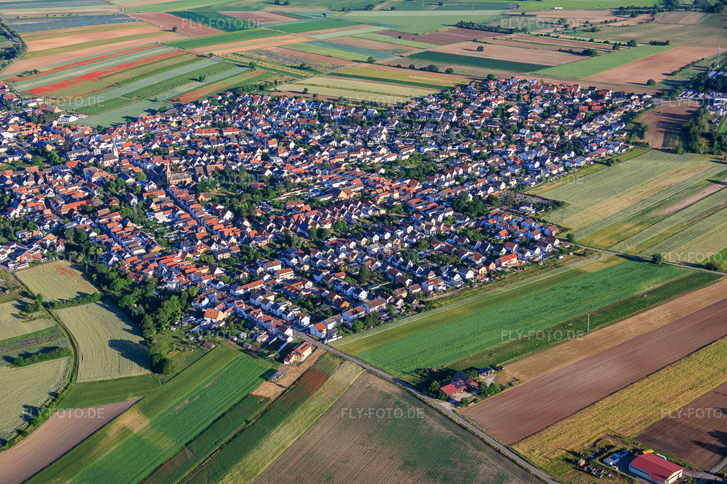 Luftbild: Ortsansicht von Südwesten im Ortsteil Mechtersheim in Römerberg im Bundesland Rheinland-Pfalz in Deutschland.Foto: IMG_156928.jpg vom 29.05.2026 durch Werner Riehm/FLY-FOTO.deAuflösung des Originals: 6000 x 4000 px