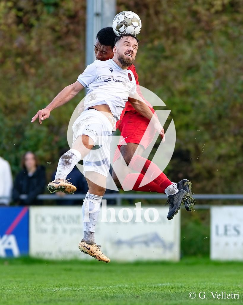 DZ8_9393 | Velletri Photo