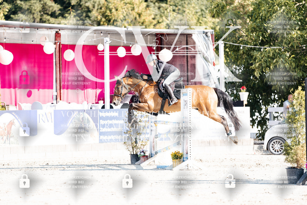 CK901857 | Turnierfotografie Pferdefotografie Trier Rheinland-Pfalz Pferdesport Reitsport Tierfotografie Sportfotografie Pferdevideo Pferdevideografie Equestrianvideography equestrianphotography  - Realisiert mit Pictrs.com