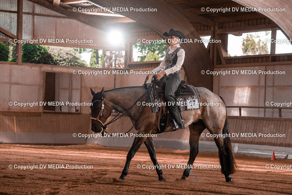 NE100322 | dv-media-shop - Realisiert mit Pictrs.com