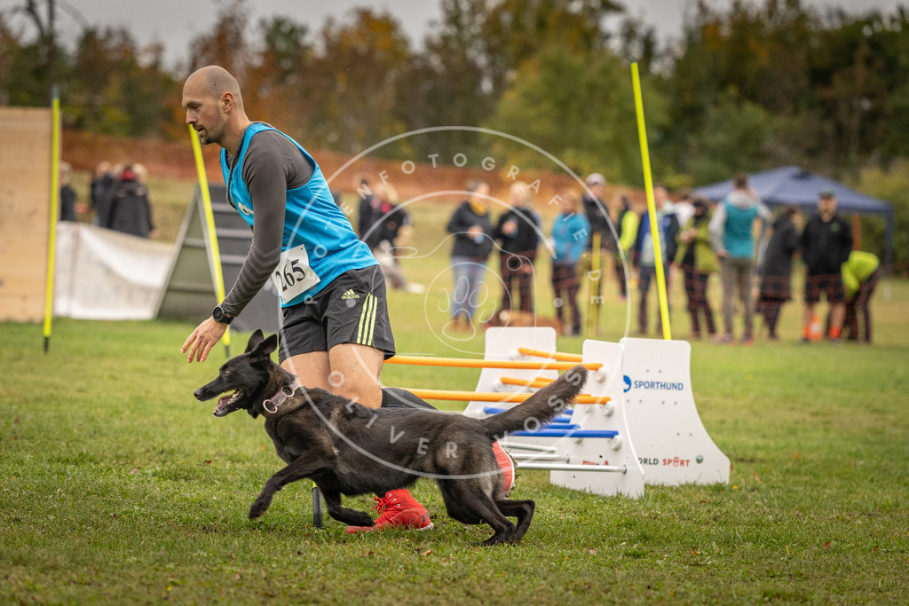 Pfotenfotografie_DV3A7053 | Hundefotografie, Tierfotograf, Pfotenfotografie, Fotoshooting Hund, Hunde Portrait, Hundesport, Hundeportraits, Heideshooting, Hunde, Sportfotograf, Hundefotograf, Turnierhundsport, THS,  - Realisiert mit Pictrs.com